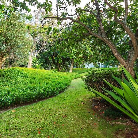 Modern, Romantic Vibes In The Tropics Kahuku Εξωτερικό φωτογραφία