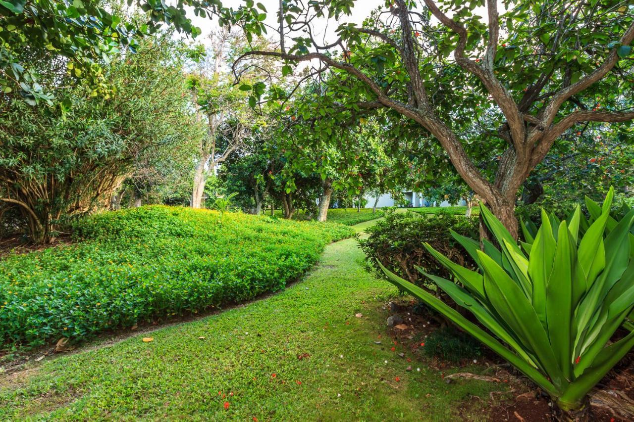 Modern, Romantic Vibes In The Tropics Kahuku Εξωτερικό φωτογραφία